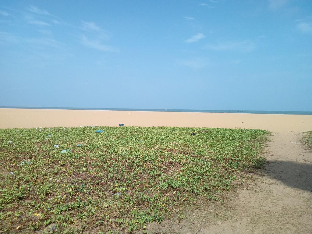 Yoho Mango House Negombo Exterior foto